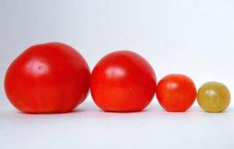 Pretul actiunilor Facebook se prabuseste