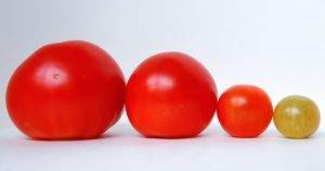 Pretul actiunilor Facebook se prabuseste