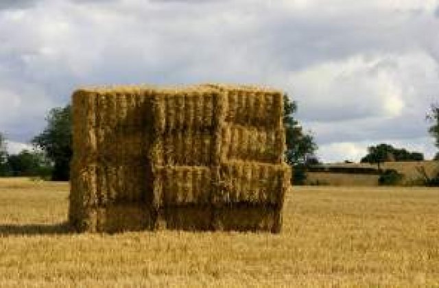 Finantare europeana pentru 2.800 de proiecte de afaceri la tara