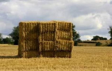 Finantare europeana pentru 2.800 de proiecte de afaceri la tara