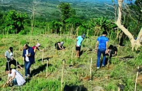 Daca vor sa promoveze, elevii din Filipine trebuie sa planteze copaci