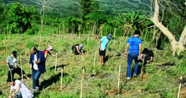 Daca vor sa promoveze, elevii din Filipine trebuie sa planteze copaci