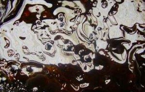 25 de tone de petrol, extrase din Olt: Pata a fost oprita