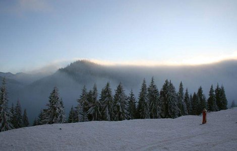 Guvernul va colabora cu Printul Charles pentru promovarea Carpatilor