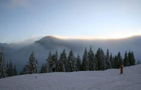 Guvernul va colabora cu Printul Charles pentru promovarea Carpatilor