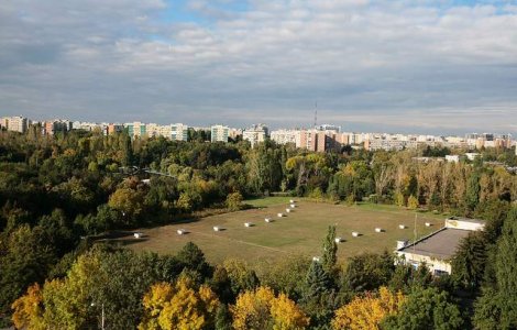 Bucuresti: Parcul Drumul Taberei se va numi "Sergiu Celibidache"