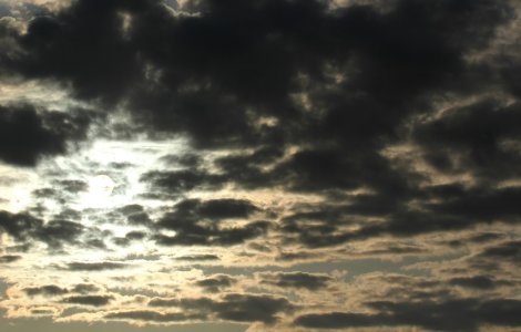 Vremea in Bucuresti: Ploi torentiale, descarcari electrice si vijelii, pana marti dimineata