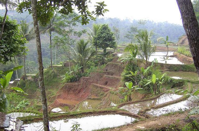 Indonezia: Cutremur de 6,1 grade in vestul Insulei Java