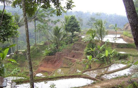 Indonezia: Cutremur de 6,1 grade in vestul Insulei Java