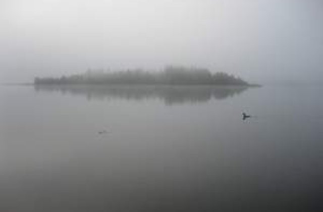 Trafic naval blocat din cauza cetii