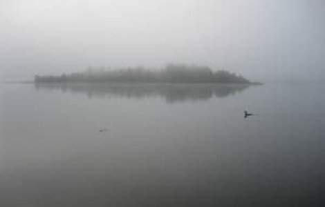 Trafic naval blocat din cauza cetii