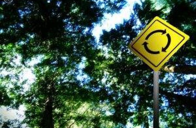 Norvegienii ne dau 306 mil. de euro pentru reducerea poluarii