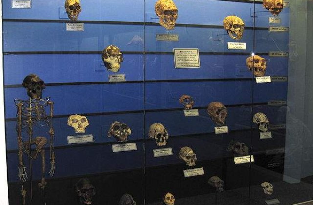 Teorie revolutionara: Rasa umana s-a nascut in Asia