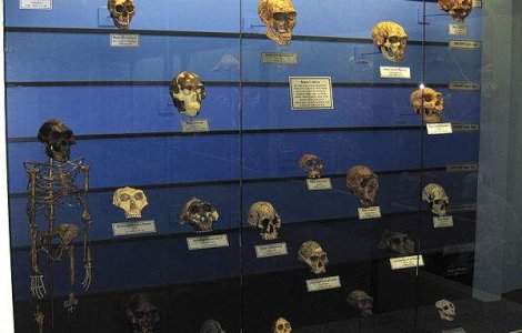 Teorie revolutionara: Rasa umana s-a nascut in Asia