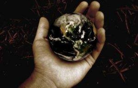 ONU avertizeaza: Starea mediului inconjurator se degradeaza in ritm alert!