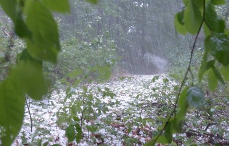 Cod GALBEN de vijelii si grindina in 23 de judete