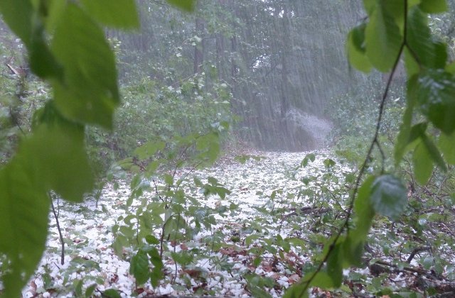 Cod GALBEN de vijelii si grindina in 23 de judete