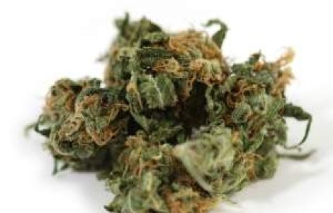 Substantele halucinogene comercializate in magazine trec in ilegalitate