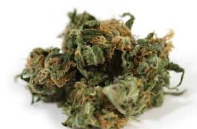 Substantele halucinogene comercializate in magazine trec in ilegalitate