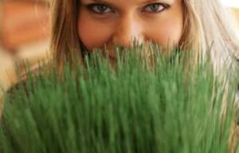 Politia de mediu, mai aproape decat crezi!