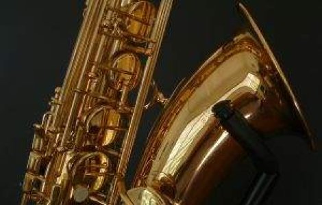 Saxofonistul Dan Nedelcu s-a stins din viata