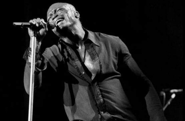 Seal revine in Romania