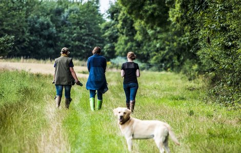  Top  10+ metode ingenioase prin care oamenii au gasit o cale de a face bani