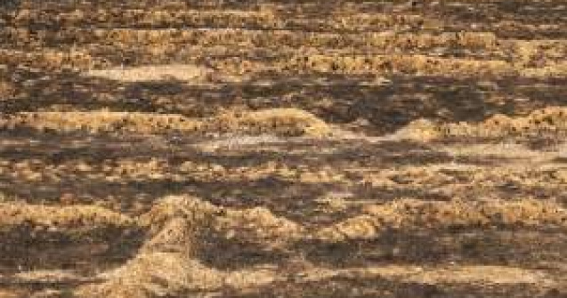 Incendiu de vegetatie in Colorado: Mii de persoane evacuate