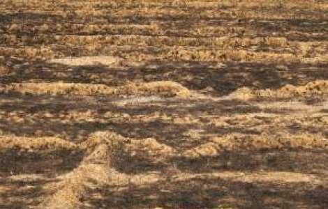 Incendiu de vegetatie in Colorado: Mii de persoane evacuate