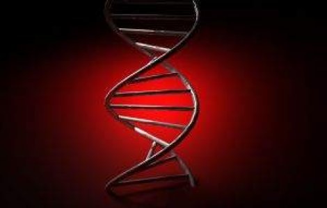 ADN-ul ar putea fi o "constanta universala"