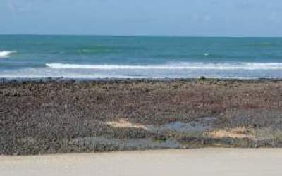 Agathon: Romania ar trebui sa...