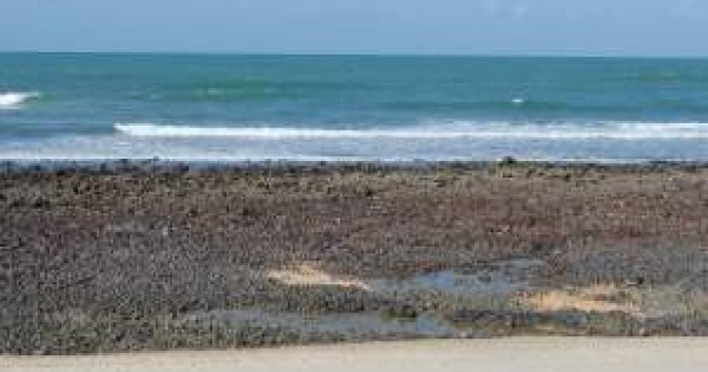 Agathon: Romania ar trebui sa profite de pe urma problemelor Greciei