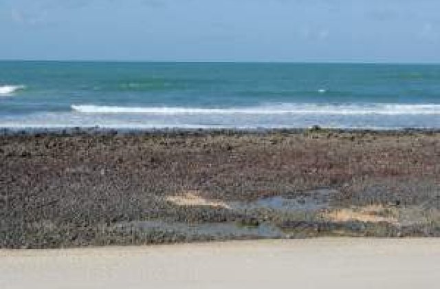 Agathon: Romania ar trebui sa profite de pe urma problemelor Greciei