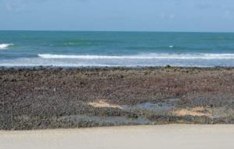 Agathon: Romania ar trebui sa profite de pe urma problemelor Greciei