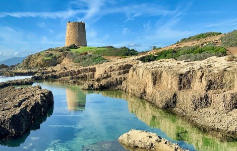 Sardinia, afectata de o grava invazie de lacuste/ VIDEO