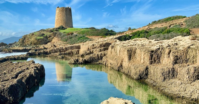 Sardinia, afectata de o grava invazie de lacuste/ VIDEO