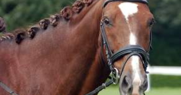 Nepoata reginei Elisabeta a II-a participa la JO in proba de echitatie