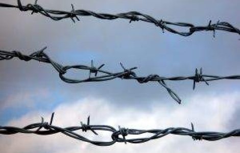 Nutu Camataru a fost eliberat