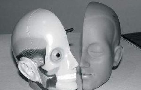 Oferta: 6.000 de euro, salariu de medic patolog in Danemarca