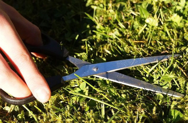 5 trucuri pentru a tunde gazonul impecabil