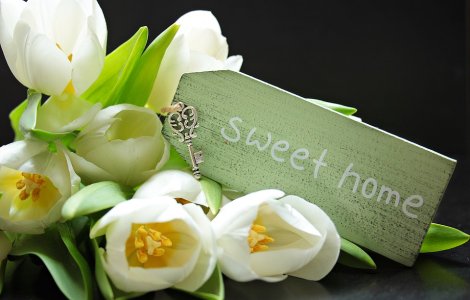 Ce cadouri oferi la o petrecere de casa noua?