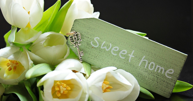 Ce cadouri oferi la o petrecere de casa noua?