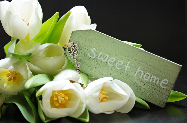 Ce cadouri oferi la o petrecere de casa noua?