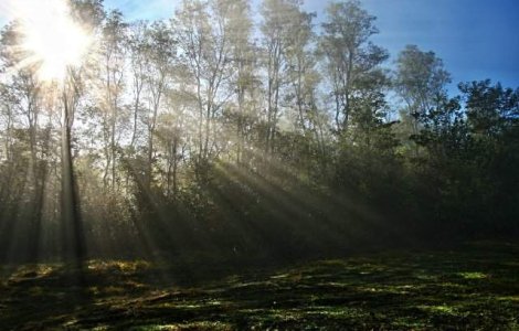 Vreme calda si disconfort termic ridicat, pana duminica seara. Cod galben de ploi si furtuni, in Moldova, Muntenia si local in Dobrogea