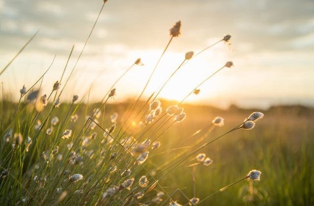 Cod galben de averse torentiale,vijelii si grindina in 32 de judete,pana la ora 22:00. Canicula si disconfort termic in regiunile vestice si sudice