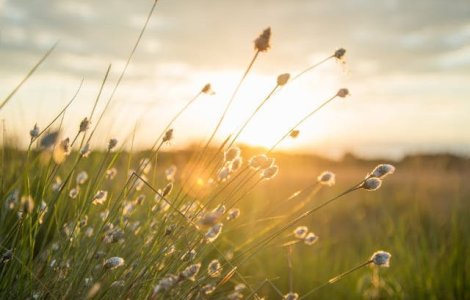 Cod galben de averse torentiale,vijelii si grindina in 32 de judete,pana la ora 22:00. Canicula si disconfort termic in regiunile vestice si sudice