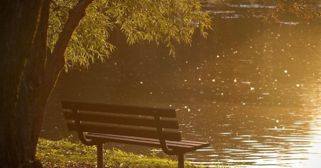 Primul spatiu verde din Romania cu banci solare si wifi gratuit, in Gradina Botanica din Bucuresti