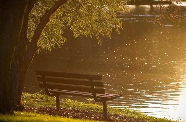 Primul spatiu verde din Romania cu banci solare si wifi gratuit, in Gradina Botanica din Bucuresti