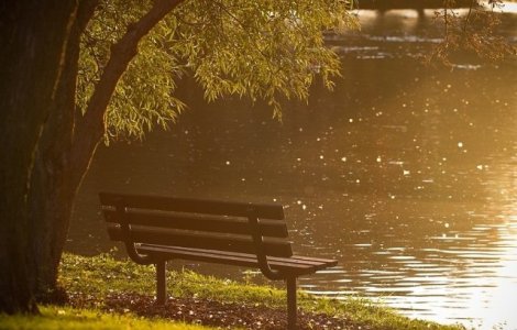 Primul spatiu verde din Romania cu banci solare si wifi gratuit, in Gradina Botanica din Bucuresti