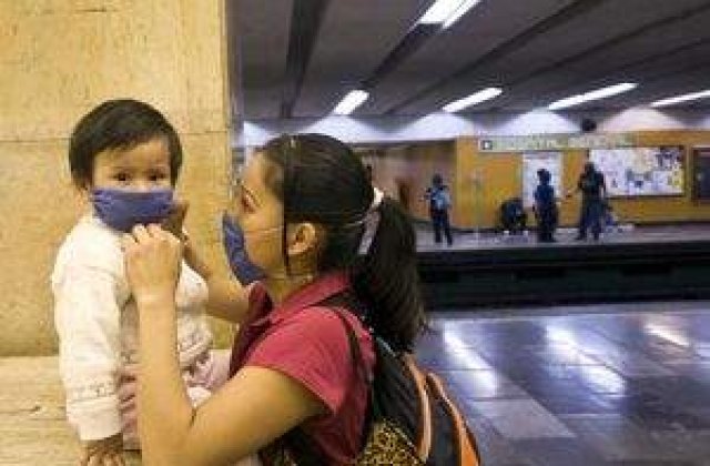 Epidemie de gripa porcina in America: OMS avertizeaza ca virusul poate deveni si mai periculos